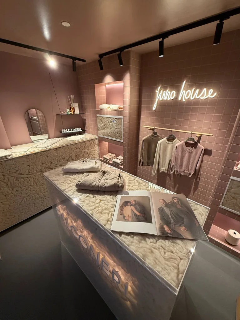 Proyecto Cashmere 3